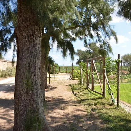 - Giardino Del Mare - Baglio Spano * Petrosino